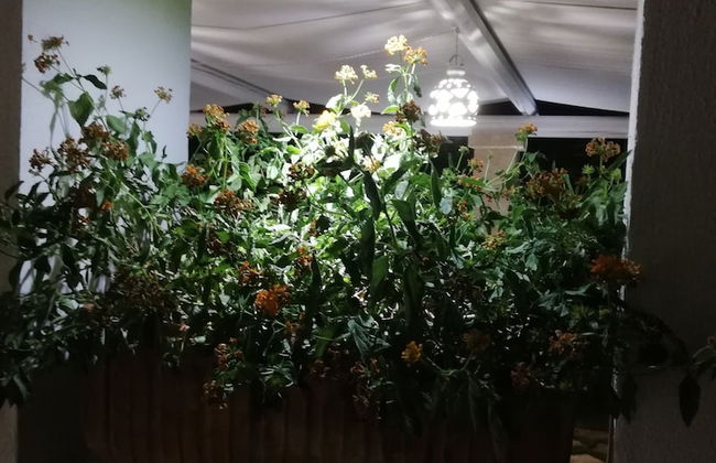 Dimora San Quirico - Foto 21