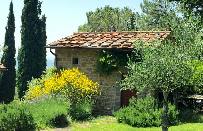 Poggio Corsucci - Foto 72