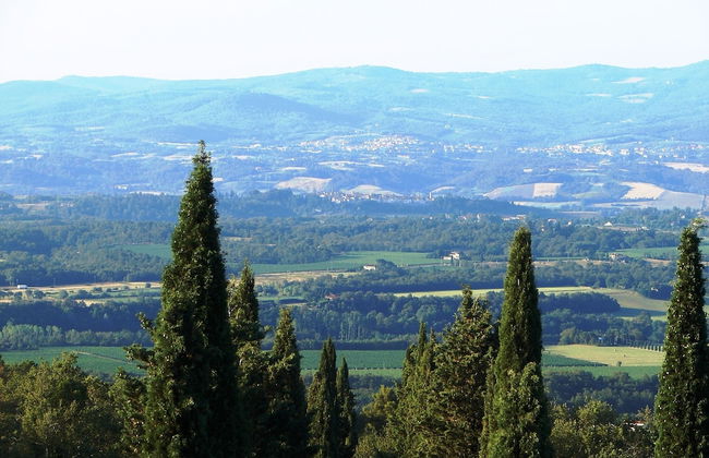 Poggio Corsucci - Foto 65