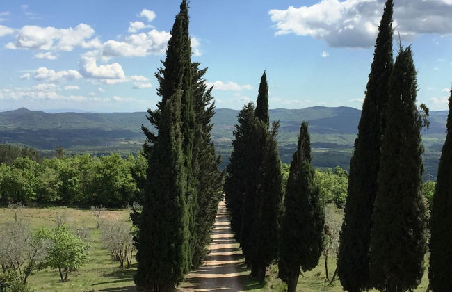 Poggio Corsucci - Foto 58