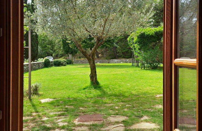 Poggio Corsucci - Foto 2
