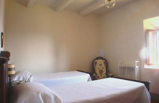 Poggio Corsucci - Foto 4