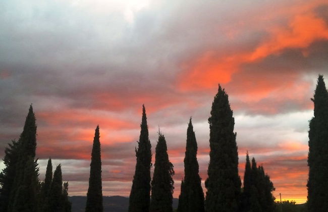Poggio Corsucci - Foto 34