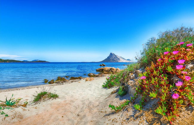 Il Borgo B3 700Mt From The Beach - Foto 24