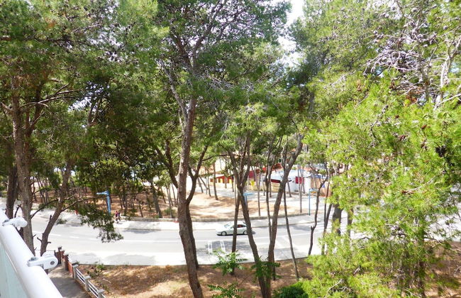 Apartamento M&C del Bosc - Photo 36