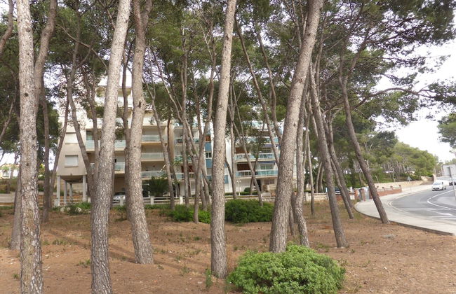 Apartamento M&C del Bosc - Photo 45