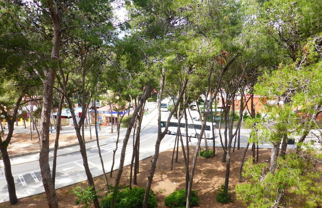 Apartamento M&C del Bosc - Photo 37