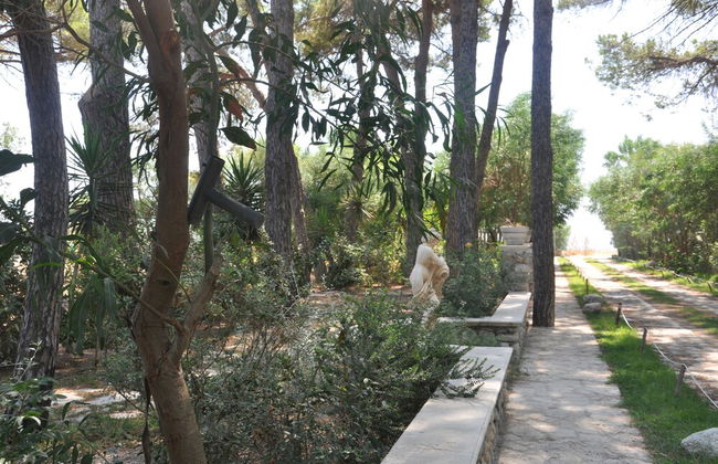 Villaggio Borgo degli Ulivi - Foto 46