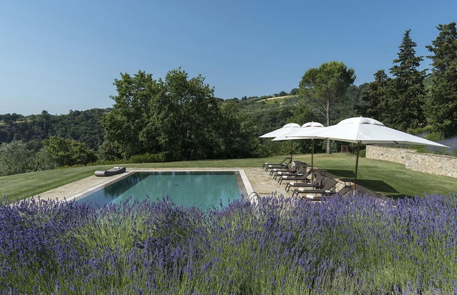 Villa Panorama 14 in Chianni - Photo 60