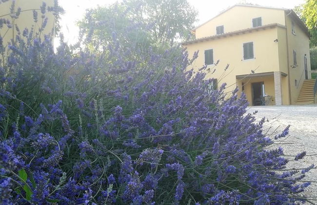 Agriturismo Il Truffarello - Foto 39
