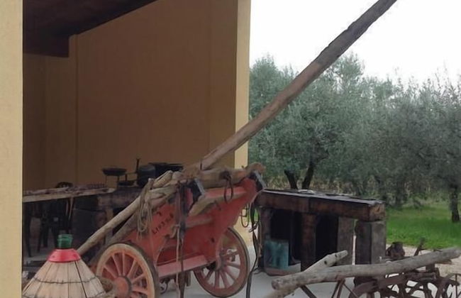 Agriturismo Il Truffarello - Foto 38
