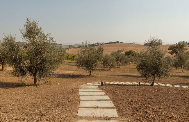 Frantoio L'Olinda - Foto 75