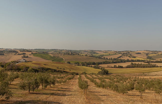 Frantoio L'Olinda - Foto 77