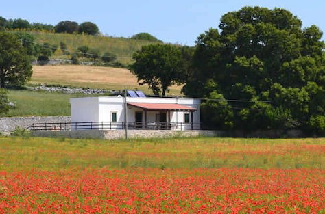 Photo 12 - Masseria Torricella