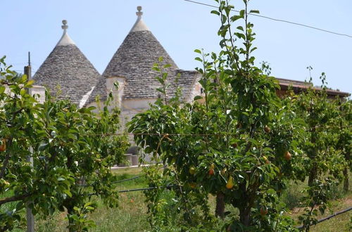 Photo 11 - Masseria Torricella