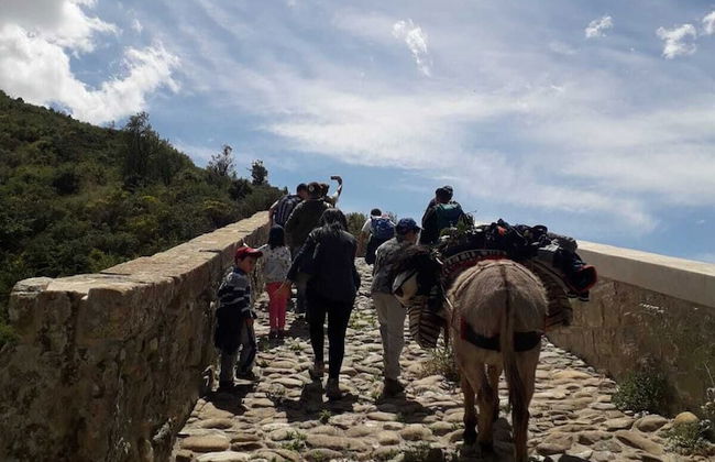 San Procopio - Foto 25