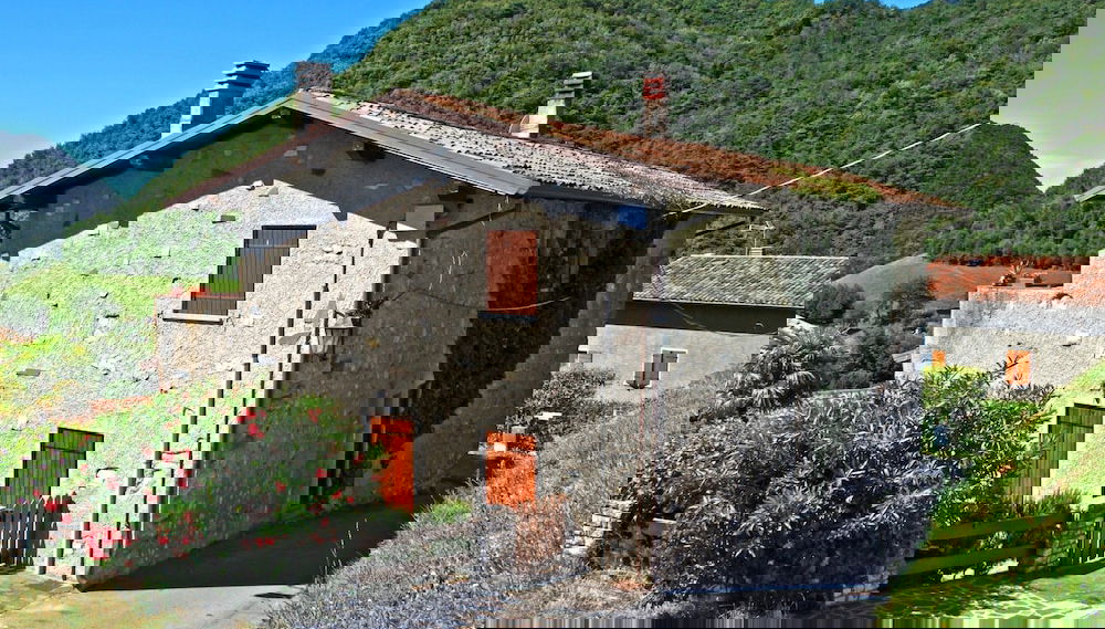 Primary image