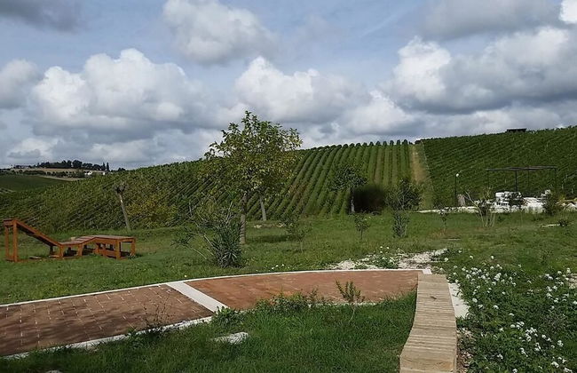 Casali Costadoro - Foto 33