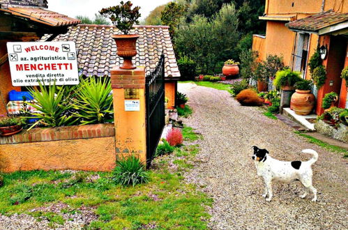 Photo 3 - Agriturismo Menchetti