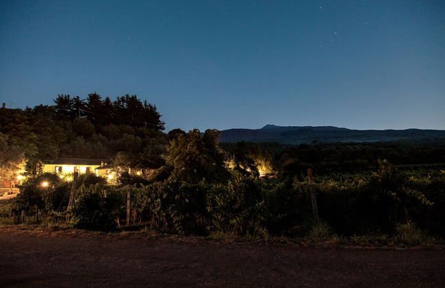 L'Antica Vigna - Foto 37