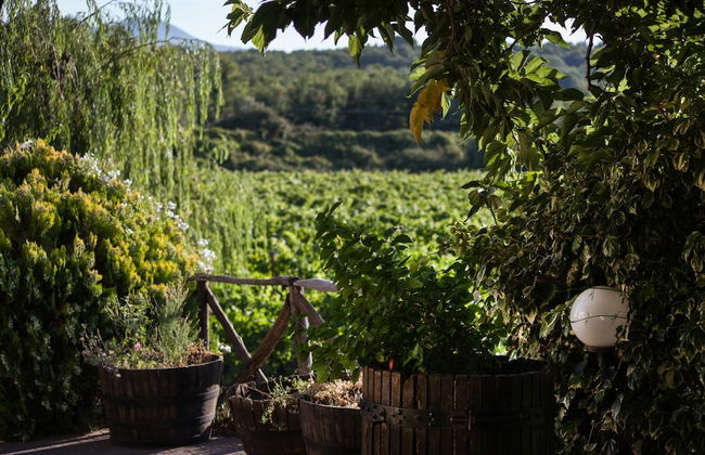 L'Antica Vigna - Foto 31