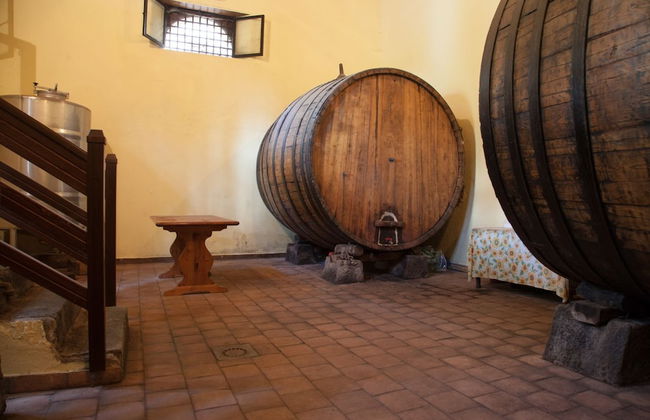 L'Antica Vigna - Foto 22