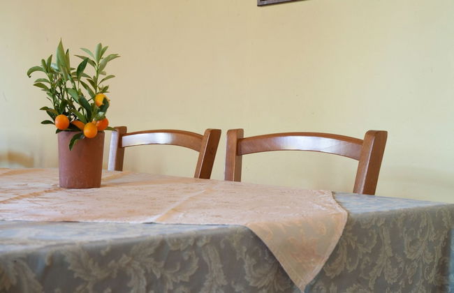 L'Antica Vigna - Foto 23