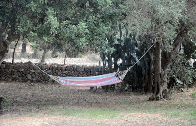 Agroturismo Son Siurana - Foto 58