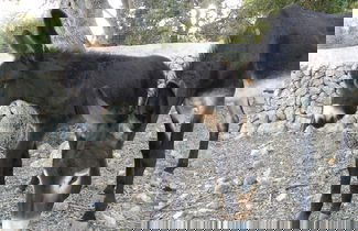 Foto 44 - Agroturismo Son Siurana