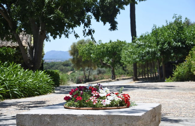 Agroturismo Son Siurana - Foto 62