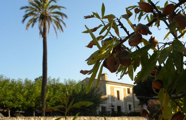 Agroturismo Son Siurana - Foto 59