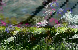 Foto 64 - Agroturismo Son Siurana