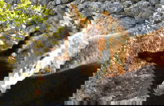 Foto 46 - Agroturismo Son Siurana