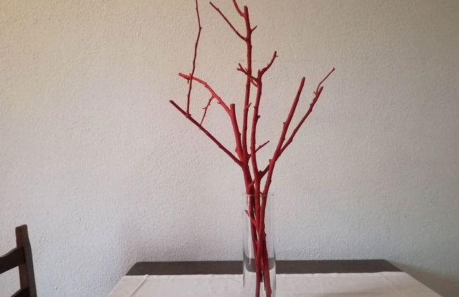Villa Corallo - Foto 28