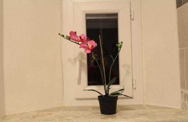 Residence BEAU RIVAGE Brehec - Foto 48