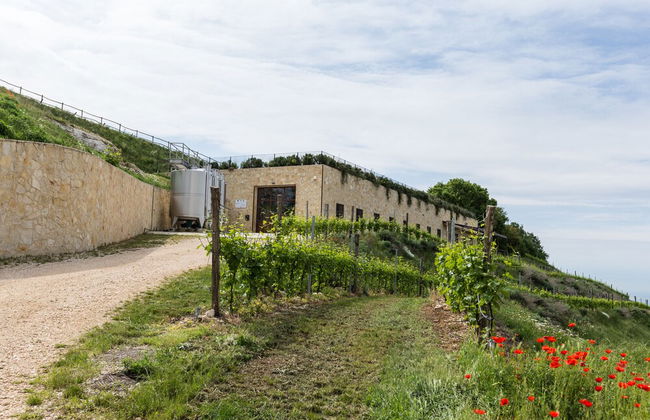 Ca' del Moro Wine Retreat - Foto 31