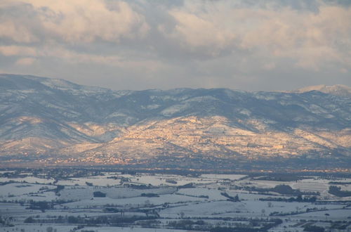 Photo 100 - Meublé Il Riccio