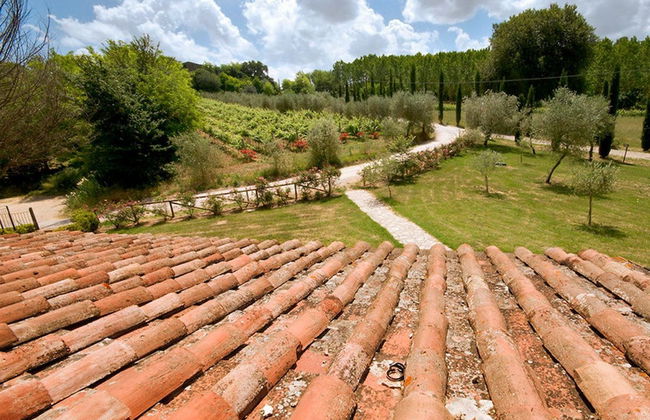 Croce di Bibbiano - Foto 4