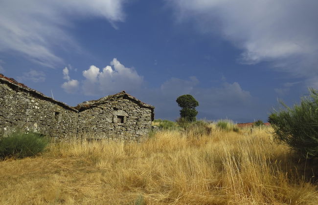 Comfortable Rural Cottage in Ancient Village in the Douro Region - Foto 44