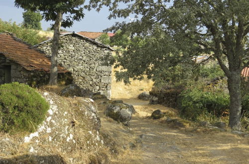 Foto 28 - Comfortable Rural Cottage in Ancient Village in the Douro Region