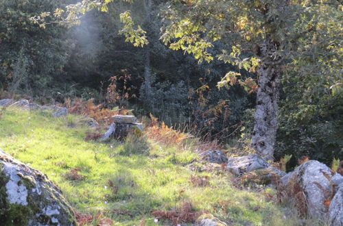 Photo 36 - Comfortable Rural Cottage in Ancient Village in the Douro Region