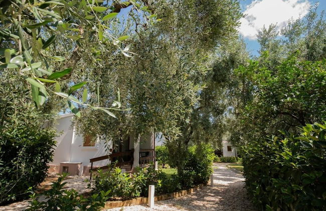Holiday Apartment Orchidea With Swimming Pool and Private Beach -3 - Photo 47