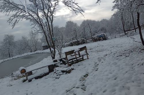 Photo 31 - Room in Guest Room - Cozy Rural Retreat in Roşia Montana