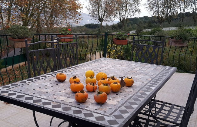 Villa Near Óbidos With Private Pool - Foto 23