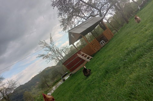 Photo 69 - Room in Guest Room - Cozy Rural Retreat in Roşia Montana