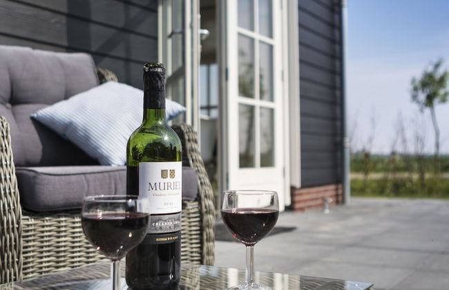 Holiday Home in Wissenkerke Near Beach - Photo 6