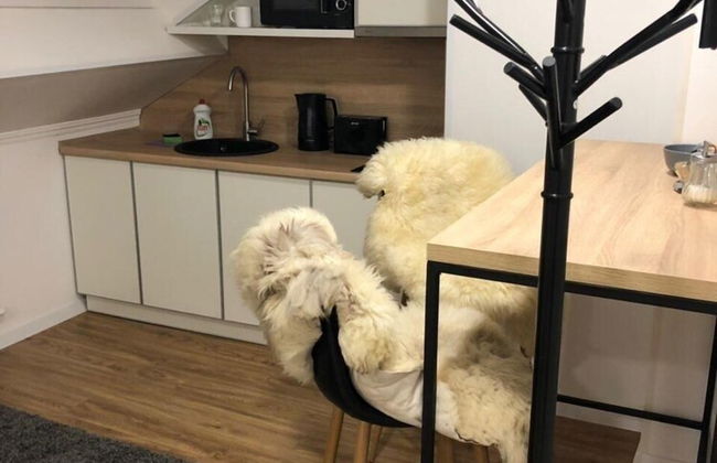 Apart-hotel Nordian - Photo 57