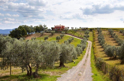 Foto 26 - Holiday Home With Exclusive Swimming Pool in the Tuscan Maremma