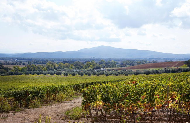 Holiday Home With Exclusive Swimming Pool in the Tuscan Maremma - Foto 29