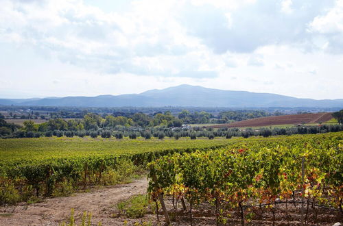 Foto 29 - Holiday Home With Exclusive Swimming Pool in the Tuscan Maremma